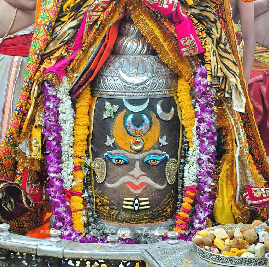 Goswami tiffin services